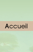 Accueil