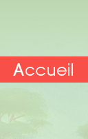 Accueil