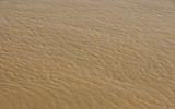 sable