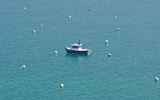 bateaux
