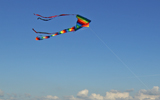 cerf-volant