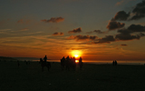 cavaliers sur la plage