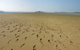 cœur sur sable