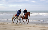 deauville