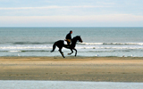 deauville