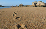 cœur sur sable