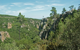 garrigue