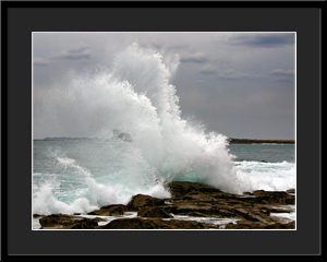 Tableau photo à vendre