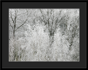 Tableau photo à vendre