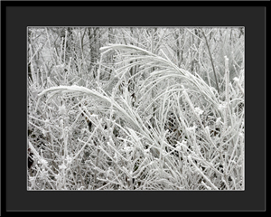 Tableau photo à vendre