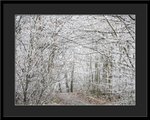 Tableau photo à vendre