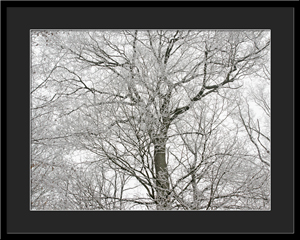 Tableau photo à vendre