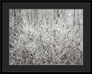 Tableau photo à vendre