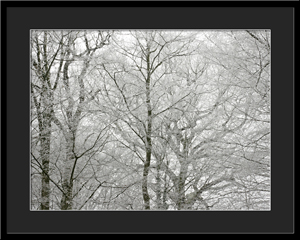 Tableau photo à vendre