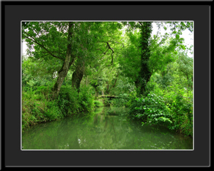 Tableau photo à vendre