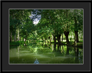 Tableau photo à vendre