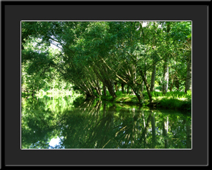 Tableau photo à vendre