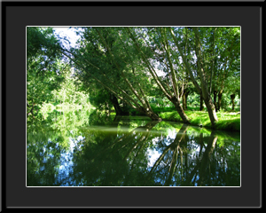 Tableau photo à vendre