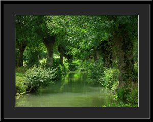 Tableau photo à vendre