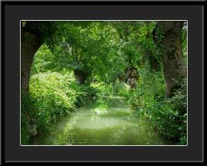 Tableau photo à vendre