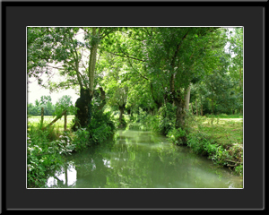 Tableau photo à vendre