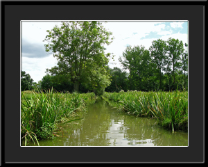 Tableau photo à vendre