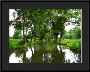 Tableau photo à vendre