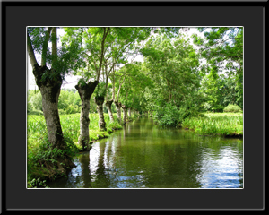 Tableau photo à vendre