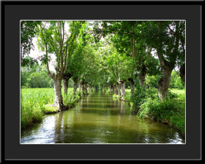 Tableau photo à vendre