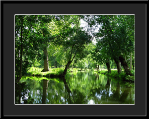 Tableau photo à vendre