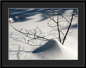 Tableau photo à vendre