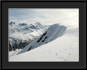 Tableau photo à vendre