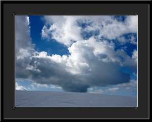 Tableau photo à vendre