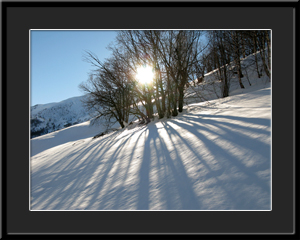 Tableau photo à vendre