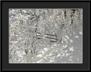 Tableau photo à vendre